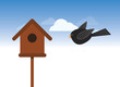 Bird box