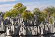 Tsingy de Bemaraha Tsingy de Bemaraha