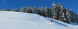 Panorama - Skifahrerin im Tiefschnee