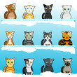 cartoon cute cats cartoon cute cats