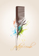 Comb in the form of the bird's feather on the beige background