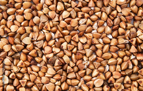 Photo: Buckwheat Buckwheat