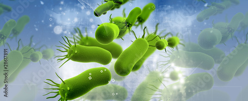 Illustration: bacteria bacteria