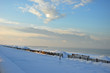 La Plage de Chatelaillon revet son manteau d'hiver