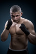 portrait of a young boxer