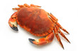 Prepared crab