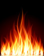 Burn flame fire vector background