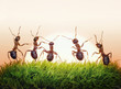 Photo en ligne au meilleur prix team of ants on sunrise, joy of life, concept