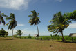 awala-yalimapo