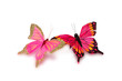 Decorative butterflies isolated on a white background