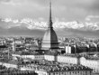 Turin view