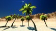 Hawaiian paradise Hawaiian paradise