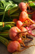 Beet Root