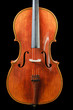 cello on a black background