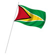 Flag of Guyana