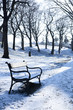 Winter day