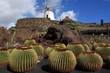 Jardín de Cactus