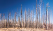 North Rim, Grand Canyon North Rim, Grand Canyon