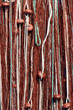 Photo: rete da pesca rete da pesca