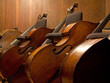 Contra basses