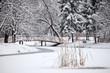 Winter scene from the frozen lake in city park Skopje, Macedonia Winter scene from the frozen lake in city park Skopje, Macedonia