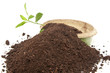 Plant ready for planting