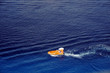 Ocean rescue