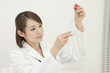Photo: 研究をする若い女性 研究をする若い女性