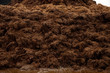 stable of cattle
