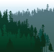 coniferous forest