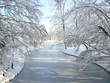 Hivers dans le parc