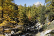 Automne dans la vallée étroite (Hautes-Alpes)