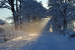 rays of sunlight through snow covered trees