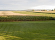 Photo: campagna campagna