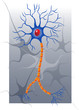 neuronoa-3
