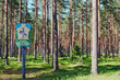 pine forest with propaganda poster