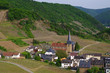 Mayschoß im Frühling