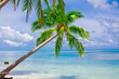 Holiday Paradise