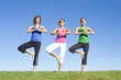 Foto: Yoga and Exercise Women Yoga and Exercise Women