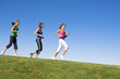 Foto: Female Joggers on the horizon Female Joggers on the horizon