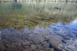 Piccolo lago di montagna