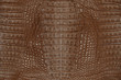 crocodile skin texture