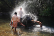 Indian elephant playing in the river Indian elephant playing in the river