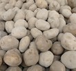 Potatoes