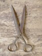 antique scissors
