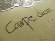 Carpe Diem