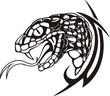 Tribal Predators.