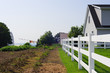 Photo: fattoria amish fattoria amish