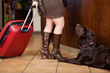 frau mit koffer und hund im hotel