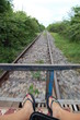 Bamboo train